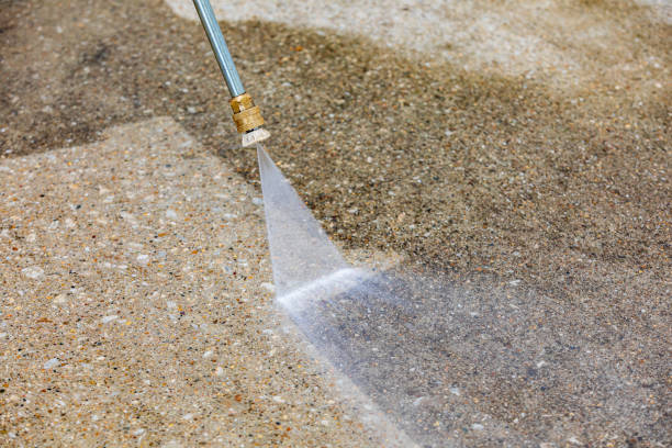 Best Soft Washing  in Cheval, FL