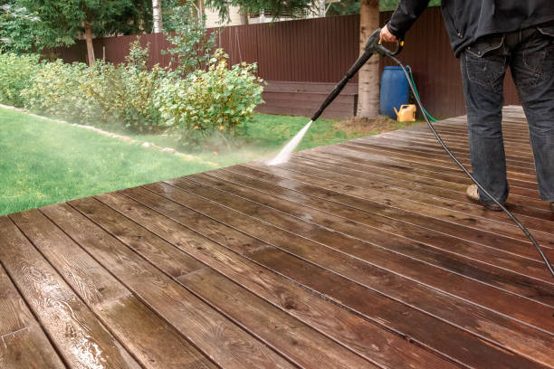 Best Solar Panel Cleaning  in Cheval, FL